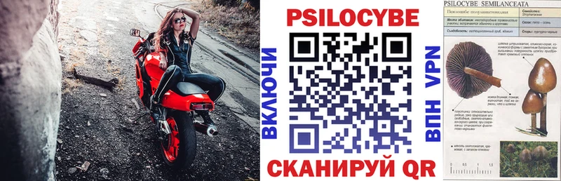 Галлюциногенные грибы Psilocybine cubensis  блэк спрут ТОР  Козьмодемьянск 